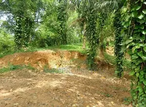 Valuable Residential Land for Sale in Mirissa.