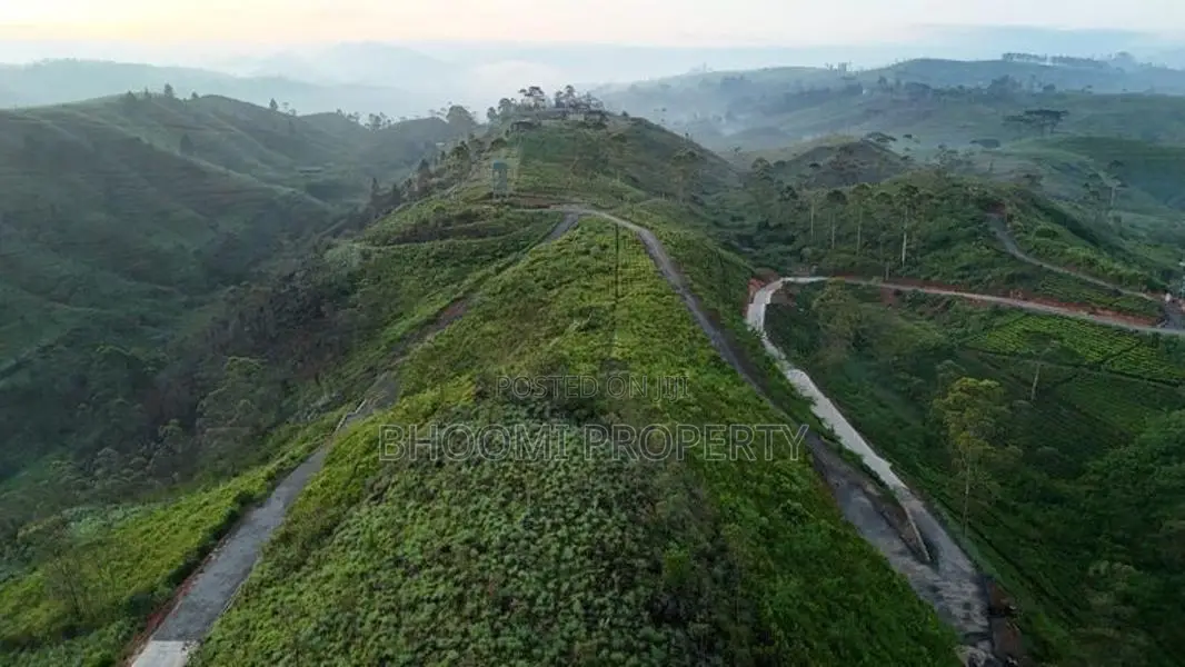 හැටන් - වටවල අගනා ඉඩම් කිහිපයක්