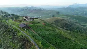 හැටන් - වටවල අගනා ඉඩම් කිහිපයක්