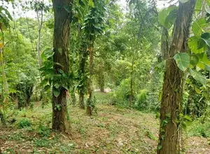 Valuable Residential Land for Sale in Mirissa.
