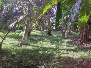 Land for Sale Thalaramba