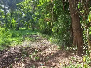 Land for Sale Thalaramba