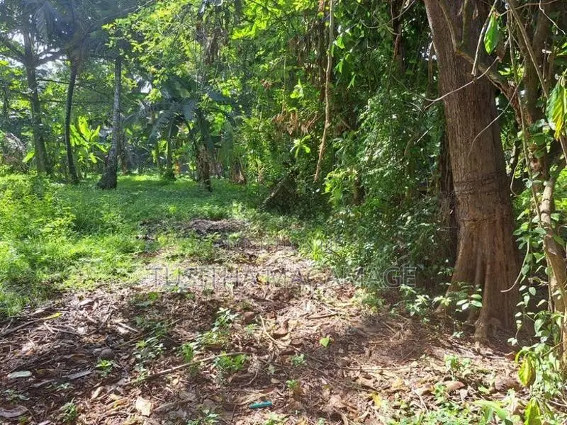 Land for Sale Thalaramba
