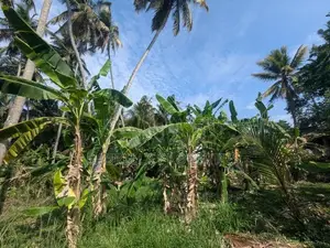 16.5P Valuable Residential Land - Wariyapola (Police Junction)