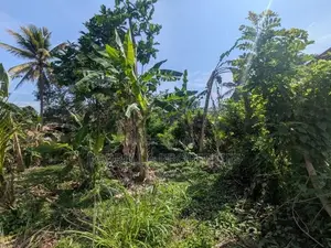 16.5P Valuable Residential Land - Wariyapola (Police Junction)