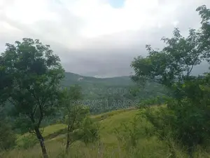 Land For Sale Nillamba
