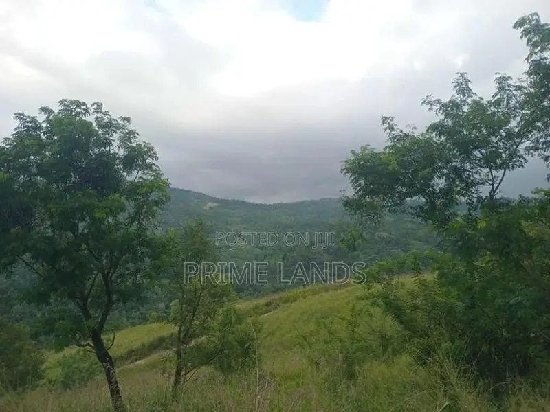 Land For Sale Nillamba