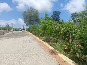 Lands For Sale In Ambalangoda