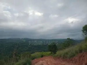 Land For Sale Nillamba