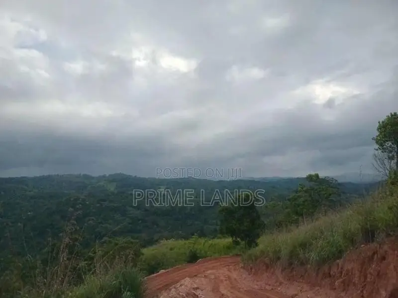 Land For Sale Nillamba
