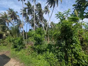 16.5P Valuable Residential Land - Wariyapola (Police Junction)