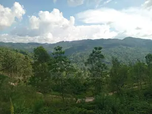 Land For Sale Galaha