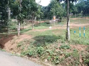 Land For Sale Nelundeniya