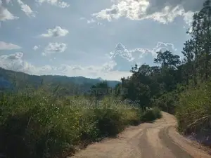 Land For Sale Galaha