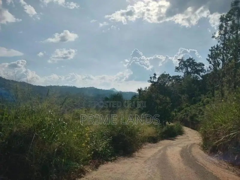 Land For Sale Galaha