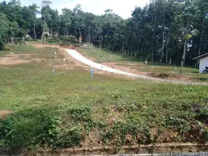 Land For Sale Nelundeniya