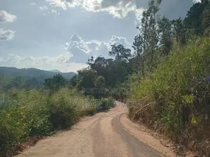 Land For Sale Galaha