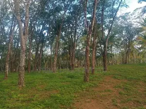 Lands For Sale In Ahangama