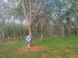Lands For Sale In Ahangama