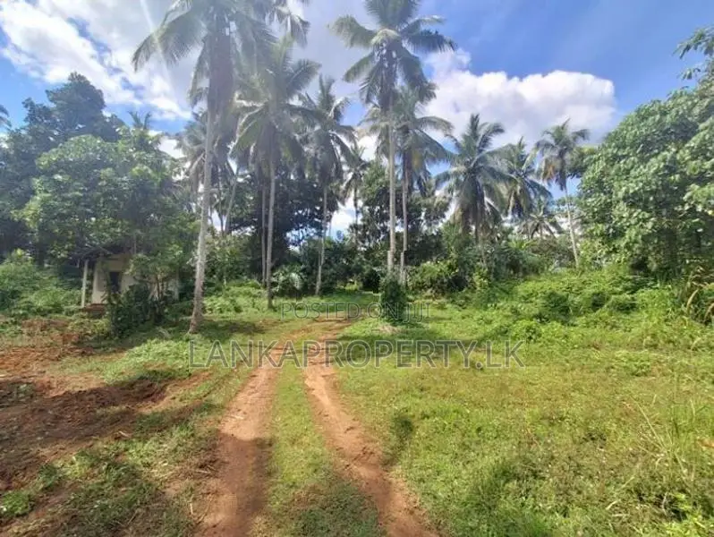 House for Sale in Malwathuhiripitiya, Gampaha