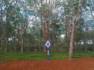 Lands For Sale In Ahangama