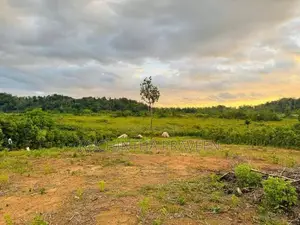 Land for Sale in Bentota