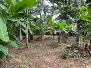 Valuable Residential Land for Sale Near Base Hospital Homagama