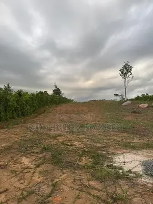 Land for Sale in Bentota