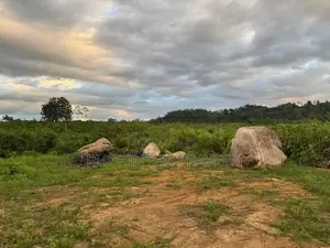 Land for Sale in Bentota