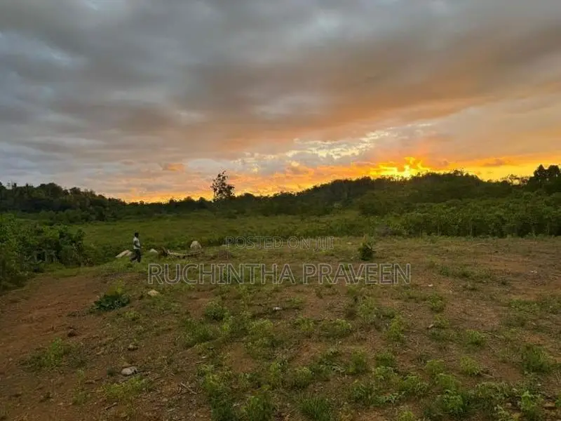 Land for Sale in Bentota
