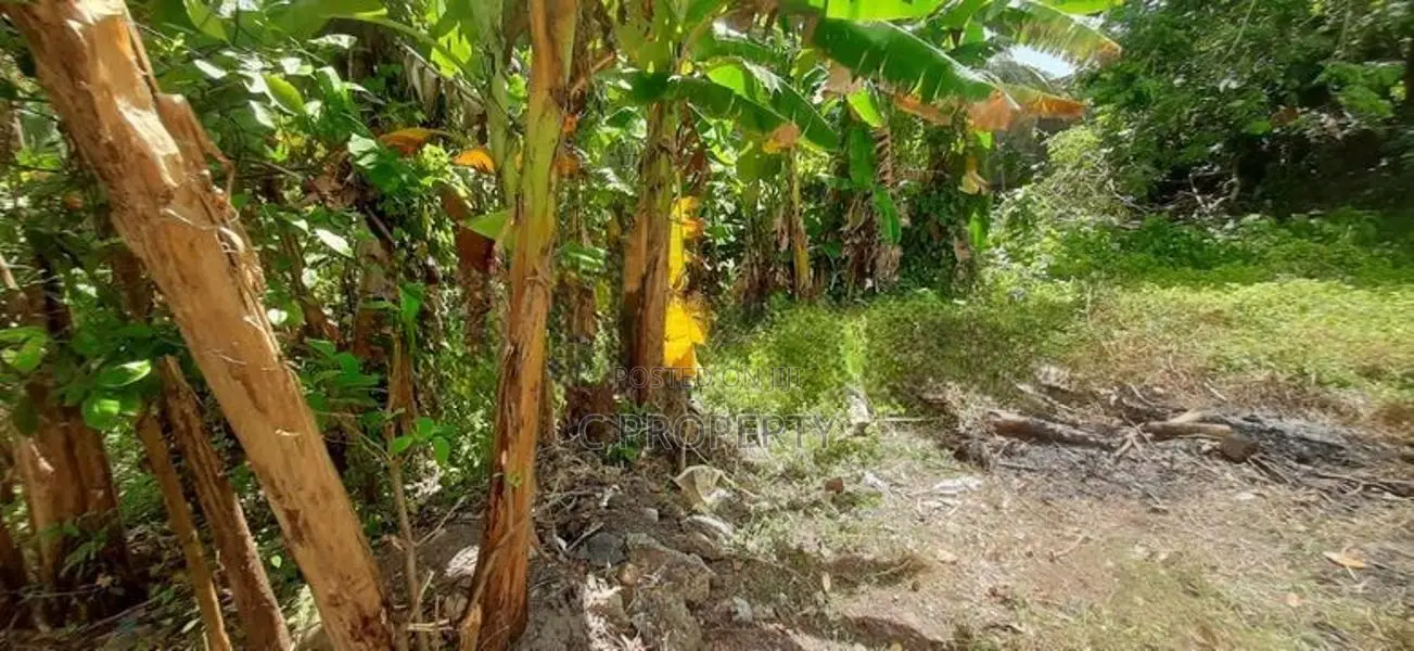 Land for Sale Boralesgamuwa Abagahapura