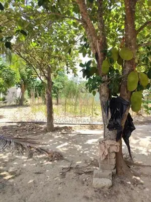Land For Sale - Kilinochchi