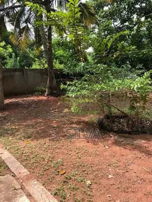 Land for Sale in Dampe, Piliyandala
