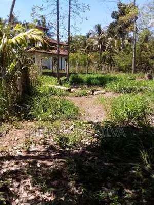 Land For Sale Pothuhera 32 Perches