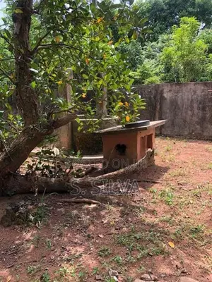 Land for Sale in Dampe, Piliyandala
