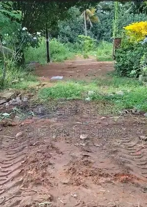 Waragoda, Kelaniya - Valuable Rectangular Land for Sale