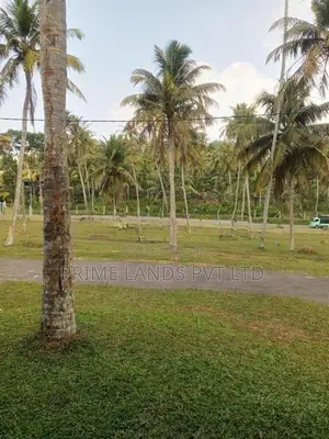 කඹුරුගමුව ලැබිම පාරට ආසන්නව ඉඩම්