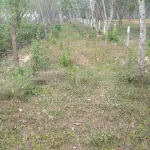 Land for Sale Horana