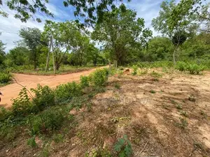 කතරගමින් සින්නක්කර ඉඩමක් Land for Sale Kataragama