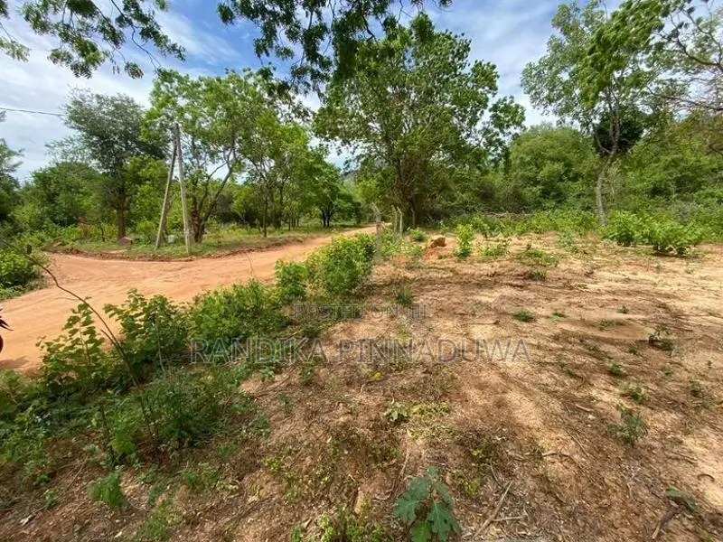 කතරගමින් සින්නක්කර ඉඩමක් Land for Sale Kataragama
