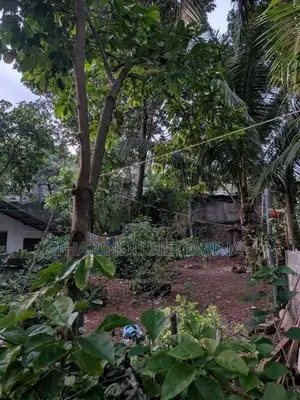 Land For Sale In Thalapathpitiya