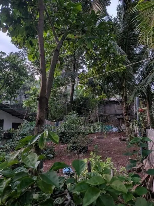 Land For Sale In Thalapathpitiya