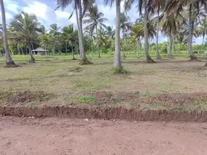 අනුරාධපුර නාච්චාදූවෙන් සින්නක්කර බිම්කොටස් විකිණීමට