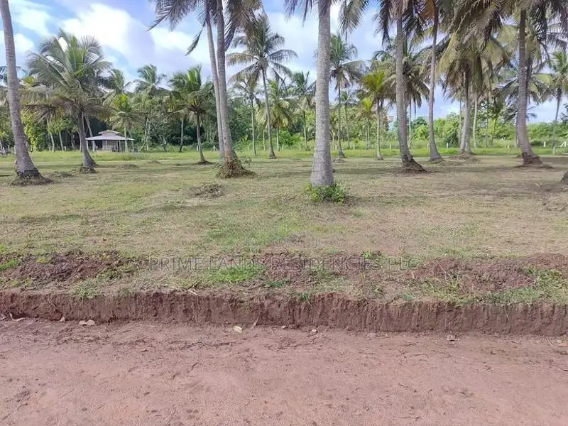 අනුරාධපුර නාච්චාදූවෙන් සින්නක්කර බිම්කොටස් විකිණීමට