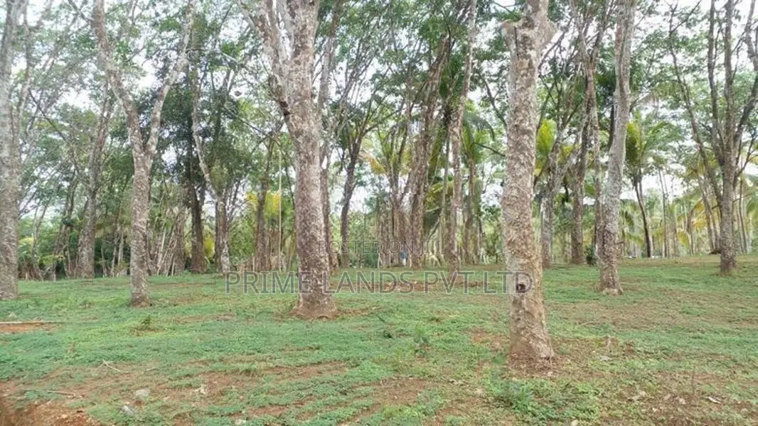 වැලිගම පාංචාලිය පාරට මුහුණලා ඉඩම්