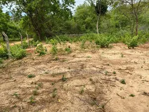 කතරගමින් සින්නක්කර ඉඩමක් Land for Sale Kataragama