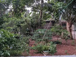 Land For Sale In Thalapathpitiya
