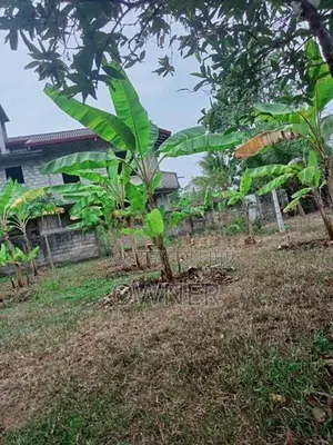 Land for Sale Niwandama