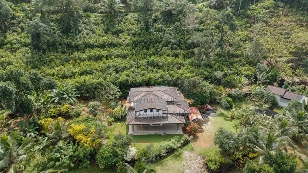 Land with Holiday Villa and 2 Acres Cinnamon in Poddala, Galle