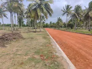 අනුරාධපුර නාච්චාදූවෙන් සින්නක්කර බිම්කොටස් විකිණීමට